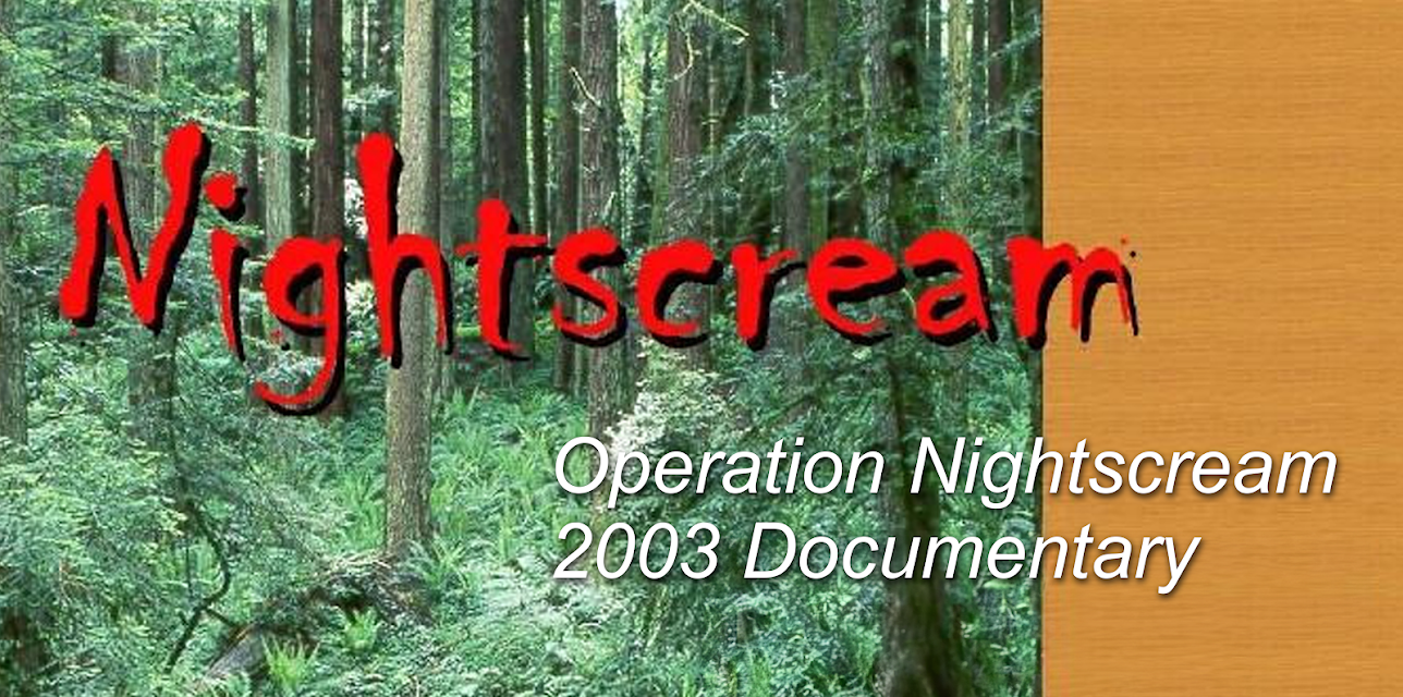Operation Nightscream 2003 (2007)