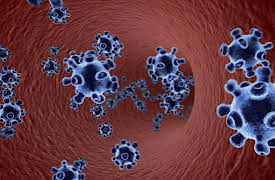 Top Ten Warfare Weapons Battles Leaders: Secrets