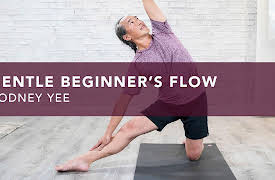 Gentle Beginner's Flow: Gentle Flow Practice #2