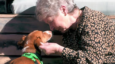 21:35: Hundehuset: Austin | NRK 2 | 3/30 2026