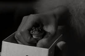 The Munsters Season 1: Knock Wood, Here Comes Charlie