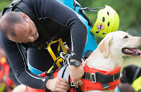 Dogs: The Untold Story: Episode 4