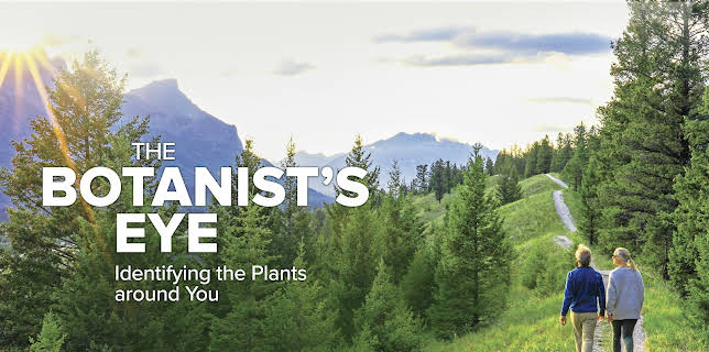 The Botanist's Eye: Identifying the Plants around You