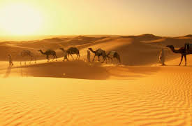 Wildest Middle East: Egypt Survivors in the Sands