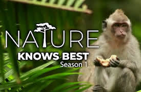 Xploration Nature Knows Best: Muscle of Mimicry