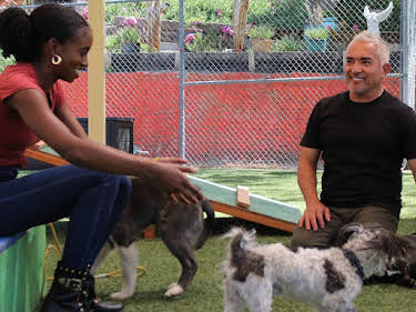 05:10: Cesar Millan: Better Human Better Dog - Bessere Menschen, bessere Hunde | Sixx | 7/26 2026