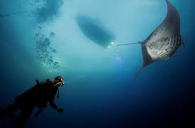 The Piece Maker, Season 1: Hawaii: The Big Island