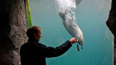 17:10: Seehund, Puma & Co. (146) | Radio Bremen | 4/22 2026