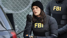 FBI: Special Crime Unit