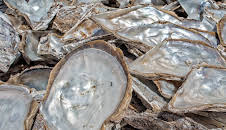 How Do They Do It? (S10 E18)