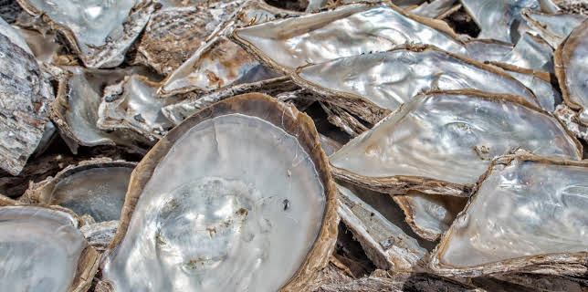 05:25: How Do They Do It? (S10 E18) (S10) | Kanal 9 | 11/7 2025