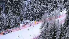 V-cup alpint (S2025 E34)