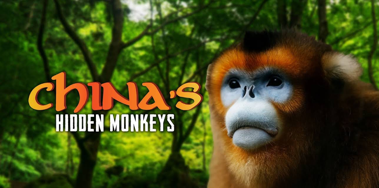 China's Hidden Monkeys (2018)