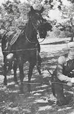 Jim Bannon como Cash Dembrow