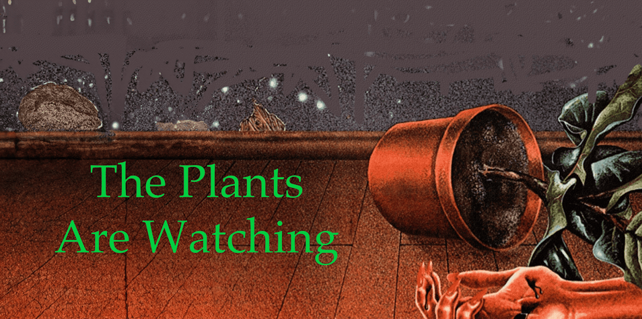 The Plants Are Watching (1979)