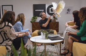 Mascotas estrellas: Estrellas con sangre fría