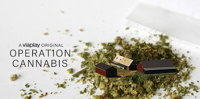 Operation Cannabis S01