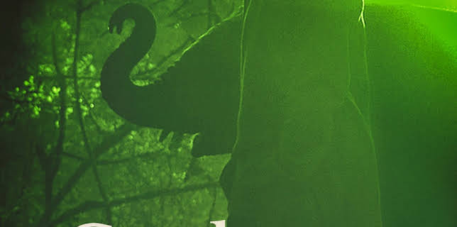 Gardeners of Eden (2015)