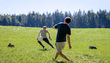 Sturm der Liebe (4554)