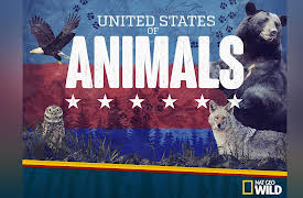 United States of Animals Season 1: Gator Nation