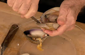 Jacques Pépin: Heart & Soul: Season 1: Catch O' the Day