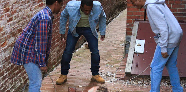 05:00: Evil Kin (S3 E7) (S3) | Kanal 11 | 1/4 2026