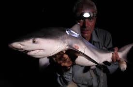 River Monsters: Amazon Flesh Eaters