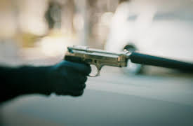 Mi Vecino el Cartel season-1: Mi vecino el cartel - Paraíso perdido