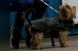 It's A Vet's Life: Episode 7