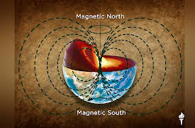 Introduction to Paleontology: Fossils and the Shifting Crust