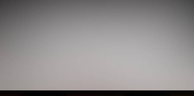 A Shot in the Foot (2013)