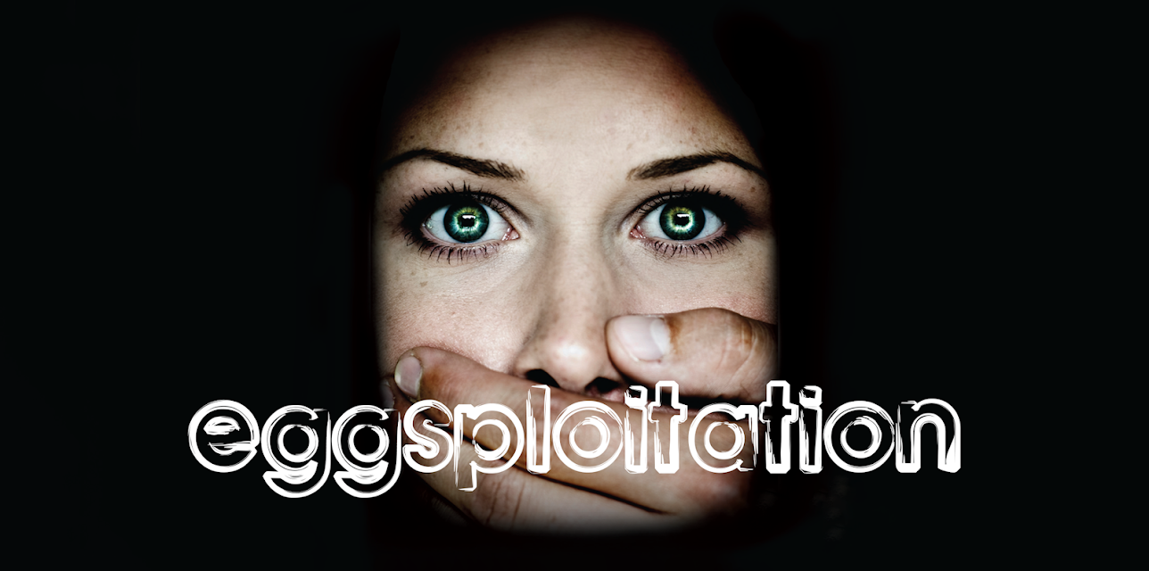 Eggsploitation (2010)