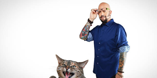 16:00: My Cat From Hell (S9 E3) (S9) | Animal Planet | 12/5 2025