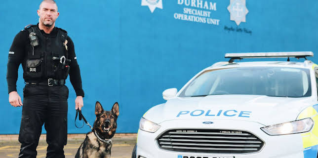 4:00 PM: Police Interceptors (S14 E1) (S14) | 5 Star | 11/14 2025