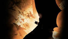 Batman Begins