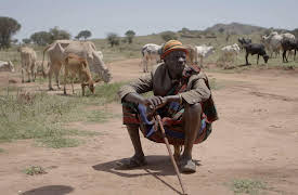 Herders: Cowherds of the Savannah