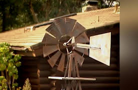 The X Life: The Dishes and the Dogs