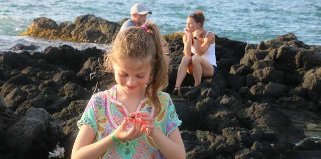 07:15: OutDaughtered (S3 E12) (S3) | TLC | 2/17 2026