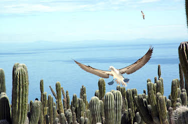17:20: Baja California - Das andere Kalifornien | 3SAT | 9/25 2026
