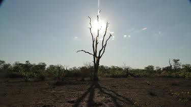 01:00: Extinct Or Alive (S2 E3) (S2) | Animal Planet | 12/30 2025