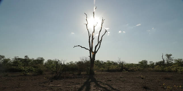 19:00: Extinct Or Alive (S2 E3) (S2) | Animal Planet | 1/11 2026