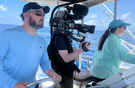 Djurens otroliga färder: Bakom färden