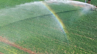 15:30: Schnittgut. Alles aus dem Garten | BR Fernsehen | 4/17 2026