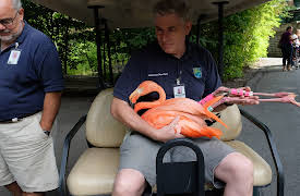 The Bronx Zoo: Episode 2