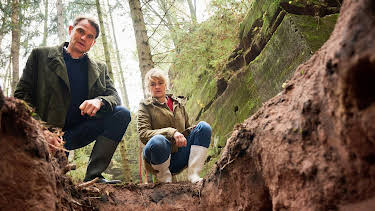 20:15: Tatort: Ich sehe dich | BR Fernsehen | 5/12 2026