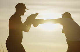 Människan: En upptäcktsfärd genom kroppen: Försvar