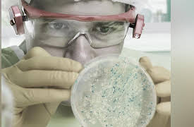 Redefining Reality: The Intellectual Implications of Modern Science: Metaphysics and the Nature of Science