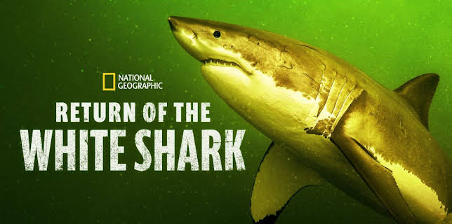 Return of the White Shark (2023)