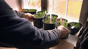 23:15: Det gode bondeliv: Traktor og såtid | NRK 1 | 3/29 2026