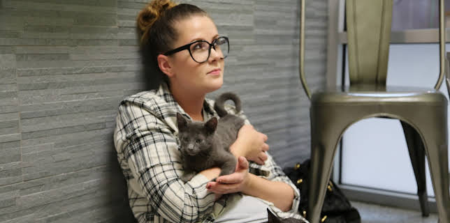 16:00: My Cat From Hell (S8 E5) (S8) | Animal Planet | 11/25 2025